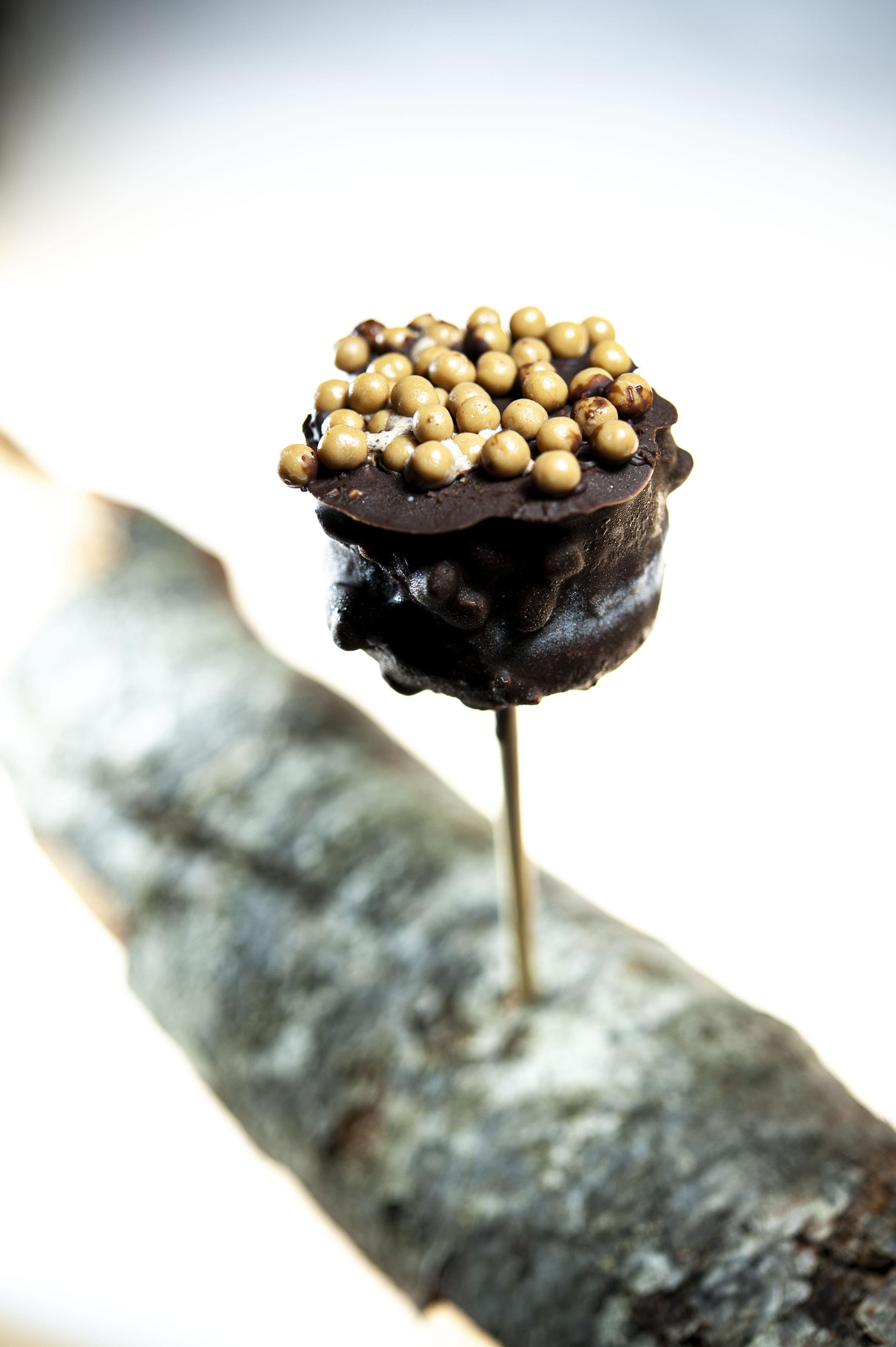 Les desserts au chocolat à St Cyprien