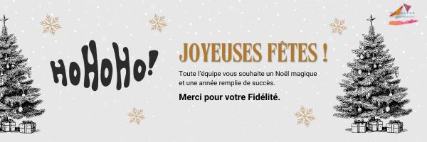 BONNES FÊTES DE FIN D'ANNÉE