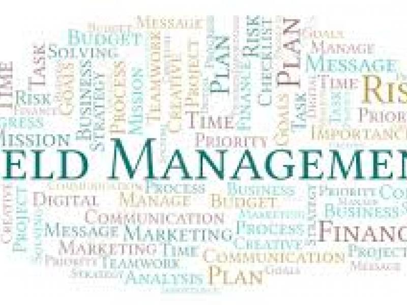 Formation yield management 